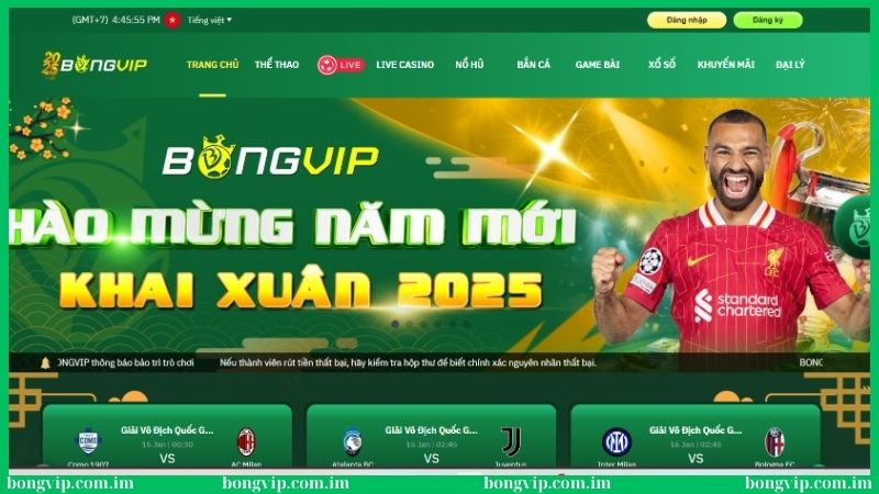 Bongvip - Trang Chủ Nhà Cái Bóng Đá VIP Chính Thức Uy Tín 2025 14 Bongvip là thiên đường giải trí dẫn đầu xu hướng